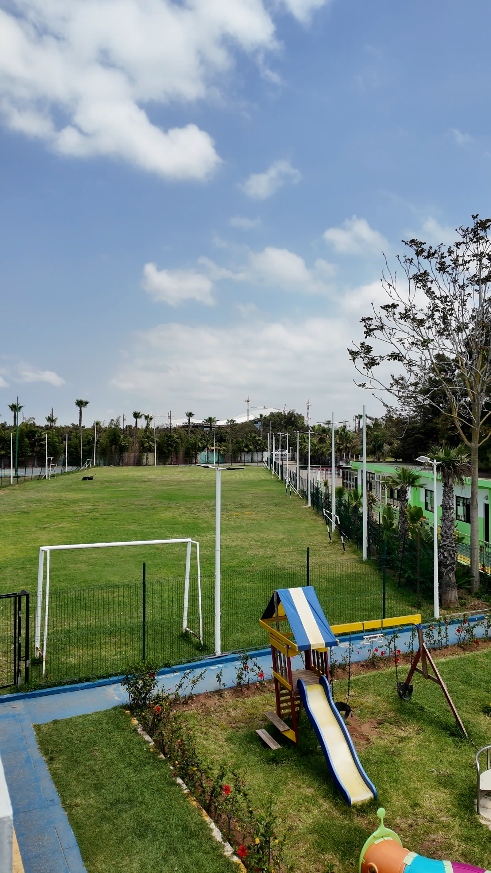 Terrain de foot en gazon naturel