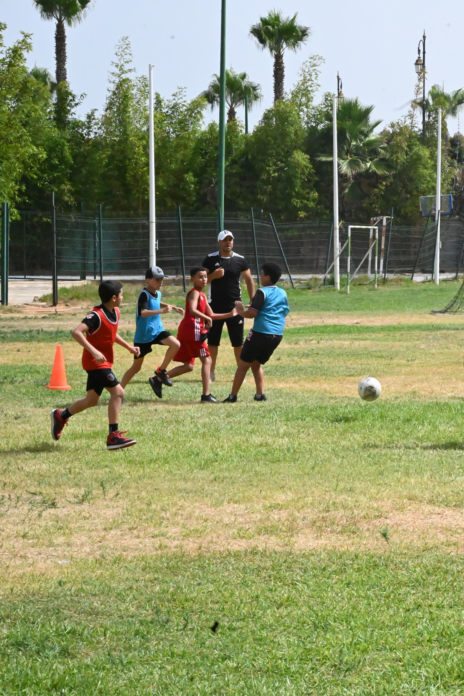 Football sur gazon naturel